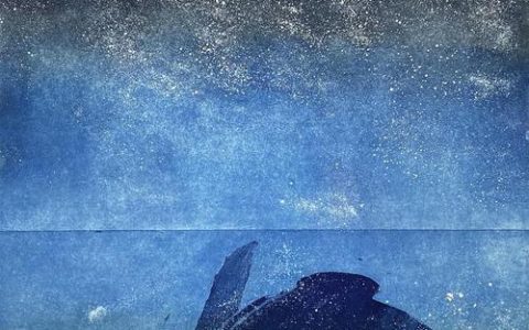 芯片的奇幻漂流：穿越百米的产业旅程，在鄂州找到归宿