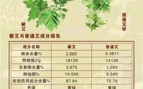 蕲艾跻身湖北地理标志品牌价值榜单前列