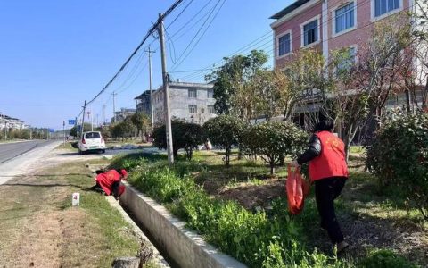 通城马港干群合力优环境促进国道沿线颜值再提升