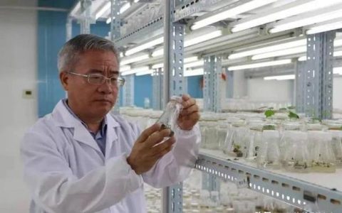 张献龙院士寄语华中农业大学学报：七秩学报照见中国农业科学奋进之路