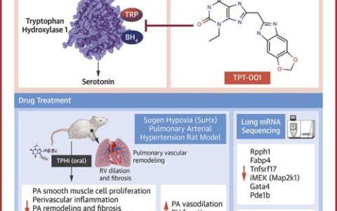 药学院与附属同济医院泌尿外科团队合作开发多功能碳点纳米药物