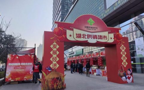 阳新首届“供销年货大集”2月7日开市  打造一站式年味盛宴