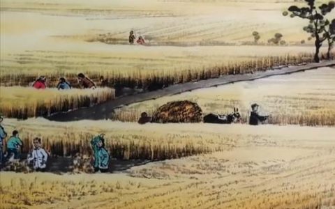 好评中国丨深耕希望田野 擘画“三农”蓝图