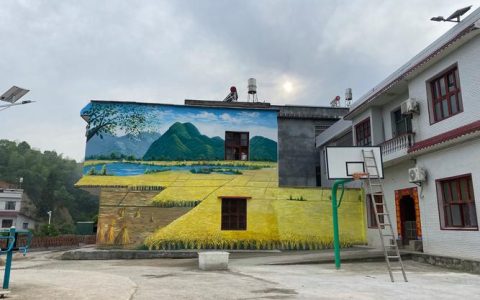 通城石南镇全民参与全域治理 绘就宜居乡村画卷