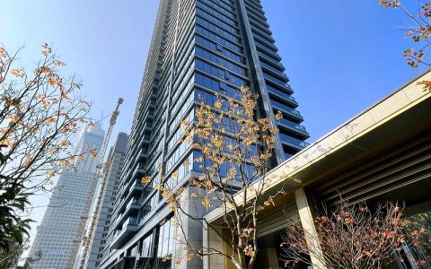 “回汉既是安家，也是看好未来发展” ，武汉一楼盘一个月卖出6亿元