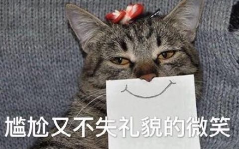 马泽江参加指导曾都区委常委会2025年度民主生活会