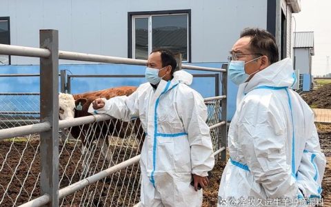 英山智能化消毒通道筑牢畜牧业安全防线