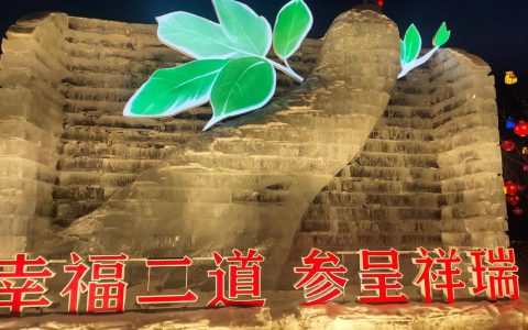 “福菊宴”香飘湖北地理标志新春嘉年华