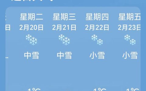 十堰雪“闪现”！今早飘雪下午转晴 暖冬模式一键切换
