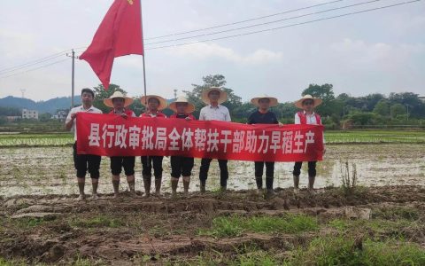 凝心聚力 真抓实干 咸安农业农村局推动“三农”工作上台阶