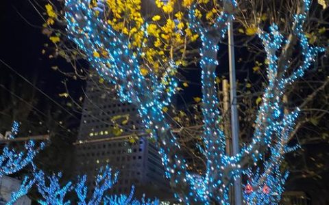 路灯“延时”点亮，暖了市民夜行路……武汉这些区和部门被点赞了