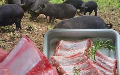 恩施市连续19年获“全国生猪调出大县”称号