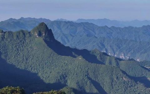 宣恩县椿木营乡：绿水青山变发展靠山
