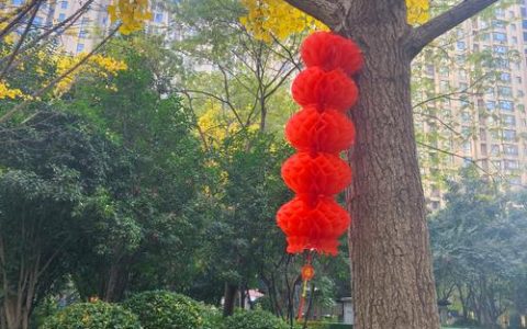 潜江街头树木“穿新衣”迎新春