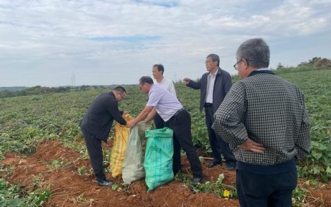 “十四五”国家重点研发计划项目“长江中下游坡耕地红黄壤与中地产稻田产能提升技术模式及应用”课题绩效评价会议在武汉召开