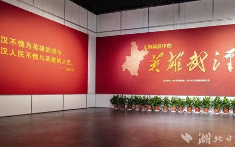 深入挖掘英雄城市红色历史，武汉两部党员教育电视片在全国获奖