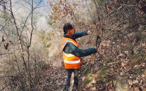 新春走基层 | 山林里的守护者