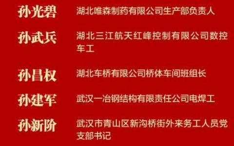 十堰5个青年集体与个人获全国表彰