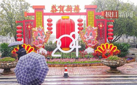 花卉扎景迎新春