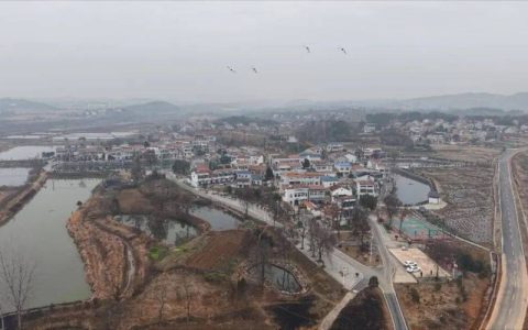 红安上新集镇“王姚线”激活文旅融合新动能