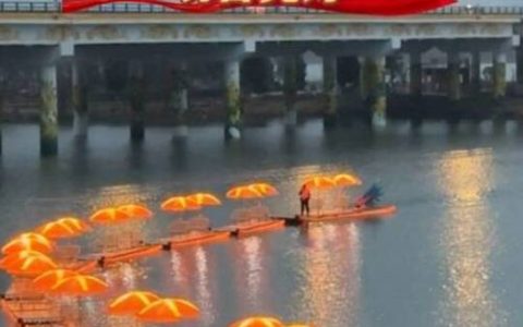 咸宁大洲湖·桂花赏心谷桂月湾迎春灯会璀璨启幕