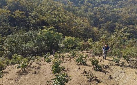 赤壁官塘驿林场筑牢生态安全屏障