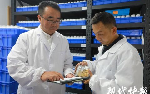 华中农业大学粮食安全数智治理实验室在粮食生产与气候变化适应策略研究领域取得新进展