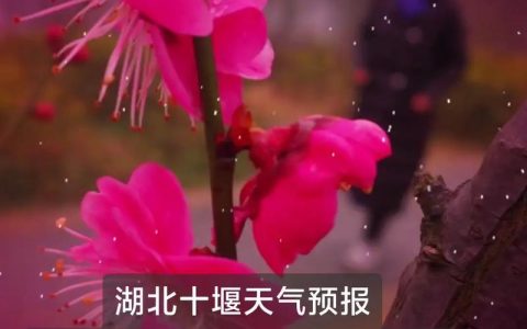 春节期间十堰以晴好天气为主