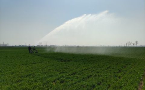 湖北金鸿源塑业：开足马力忙生产，绿色转型谱新篇