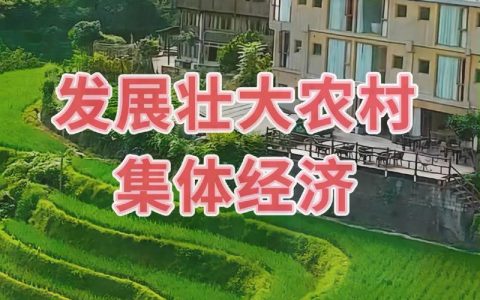 去年鄂州市农业农村发展稳中有进