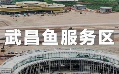 武黄高速武昌鱼服务区完成加油计量检定