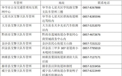 春节期间全市车管所服务不打烊