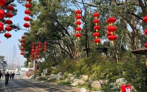 喜迎开门红！春节假期第一天，东湖各景区人气爆棚