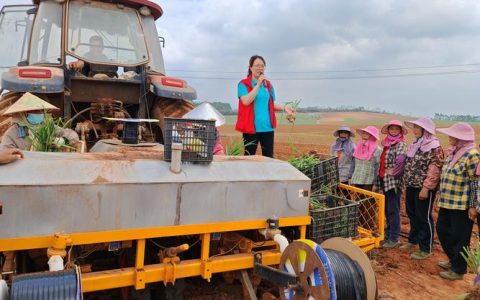 新春走基层 | 科技送到田埂上