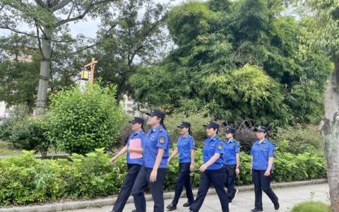 柔肩担责守秩序 执法暖心迎新春——英山石头咀镇柔性执法守护节前烟火气