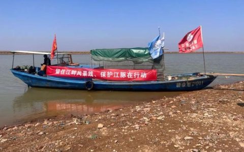 江豚跃处是“年味”——黄州区农业综合执法大队寒江巡护守护“长江微笑”