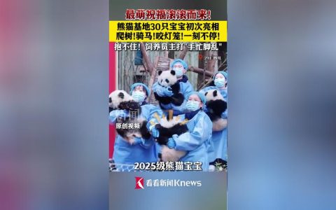 “萌宝”熊猫鸭又来涨渡湖过年啦