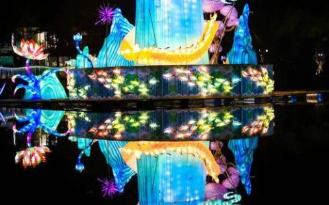 流光溢彩东湖夜，游客花式赏灯沉浸式过大年