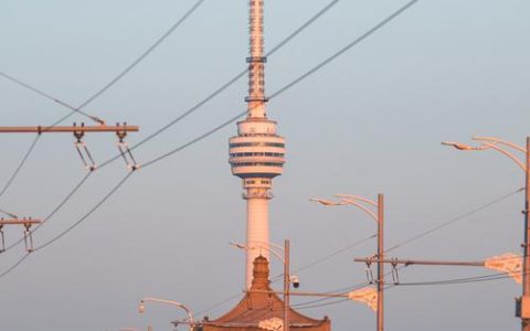 登塔迎马年 龟山电视塔时隔18年再次开放迎客