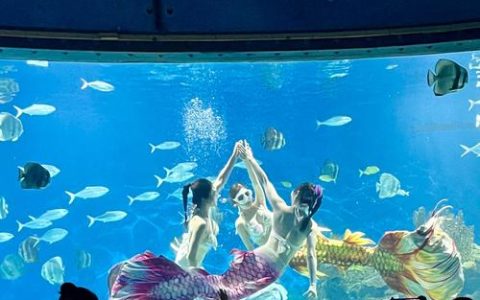 极地海洋度假区：金龙戏珠，人鱼献瑞