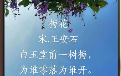 樱梅同绽，春意早临