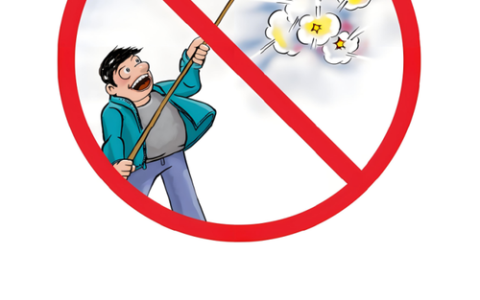 烟花爆竹安全“十严禁”