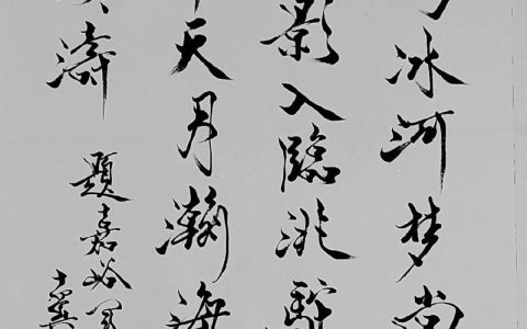 铁马冰河入梦来 一一我的丙午马年贺词