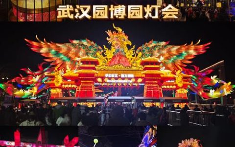 21.6万人打卡！武汉园博园花灯会点亮新春夜经济