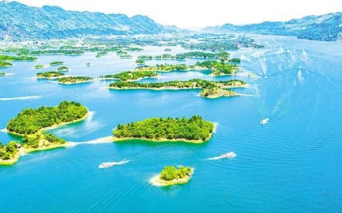 6.8万人，选择留在阳新！