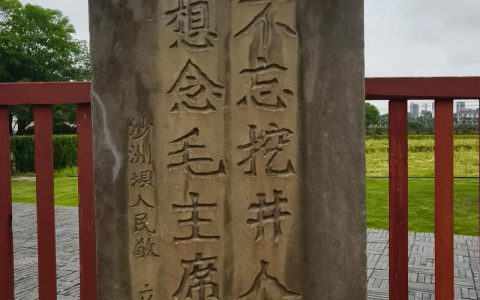 我是守井人 | 让家乡山更绿水更清