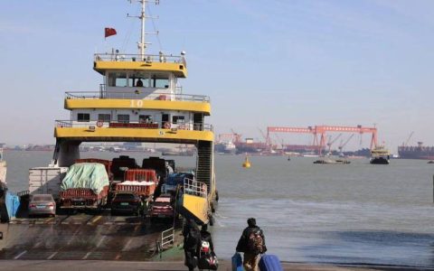 从长江边到瑞士的“年味”