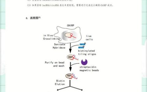 华中农业大学研究团队揭示冠状病毒劫持宿主CLTC促进双膜囊泡形成新机制