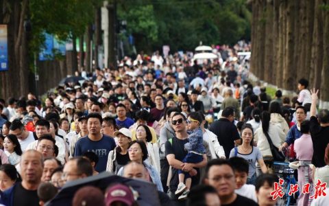 16次登上央视！春节期间，武汉A级旅游景区迎客385.89万人次