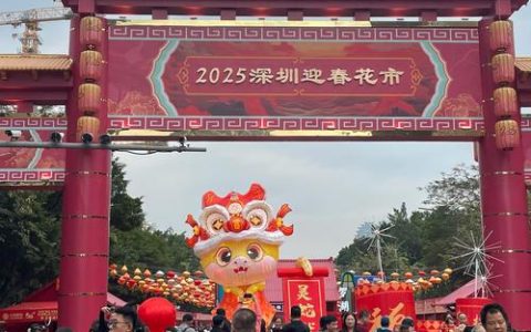 梅苑铁花耀新春 潜江年味别样浓